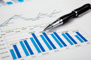ERP Software Custom Reporting